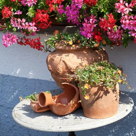 Bed & Breakfast De Eifelhoeve Herresbach
