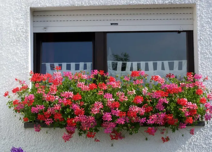 De Eifelhoeve Herresbach